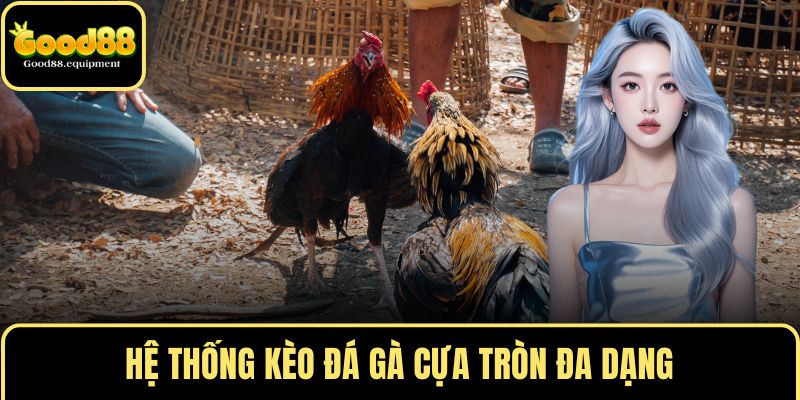 Hệ thống kèo đá gà cựa tròn đa dạng