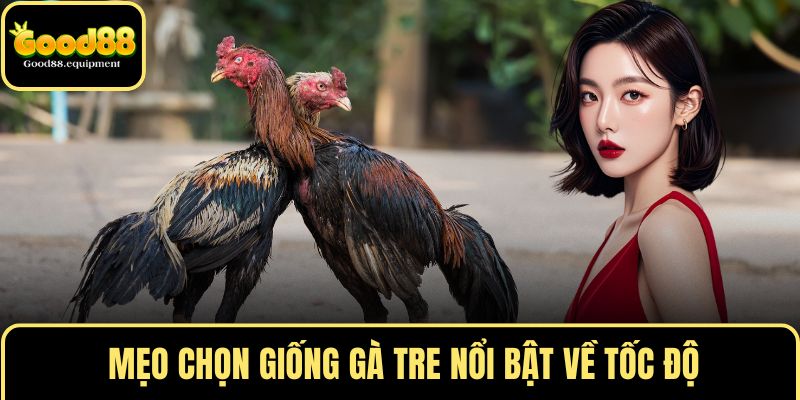  Mẹo chọn giống gà tre nổi bật về tốc độ