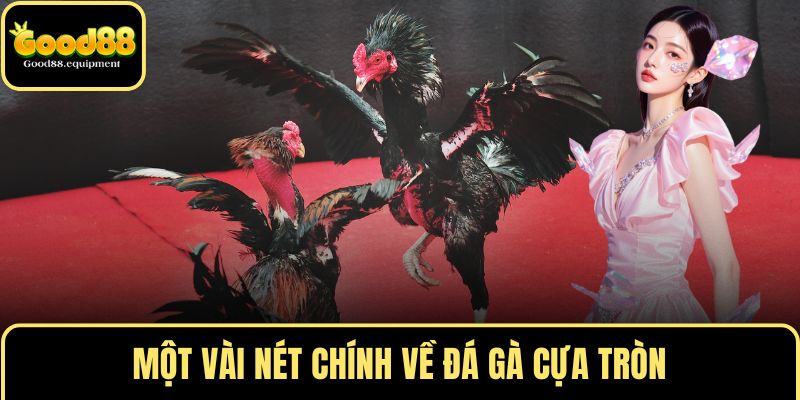Một vài nét chính về đá gà cựa tròn