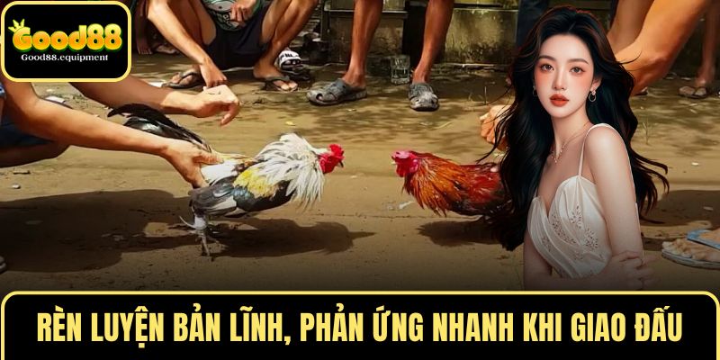 Rèn luyện bản lĩnh, phản ứng nhanh khi giao đấu